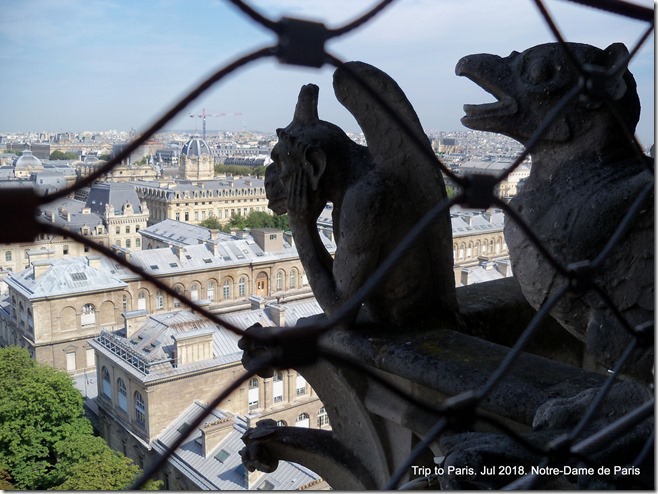 Paris-2018-07 Notre-Dame (5)